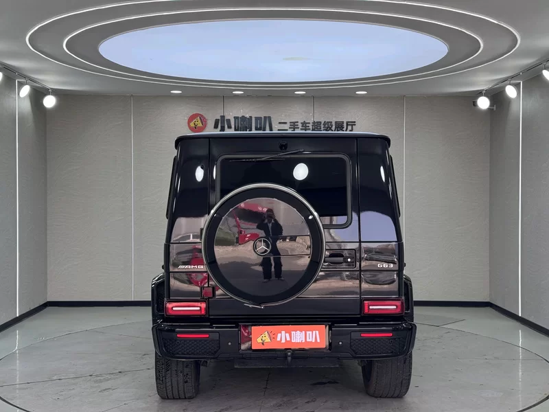 Mercedes-Benz G Class 2016 immagine di auto #4