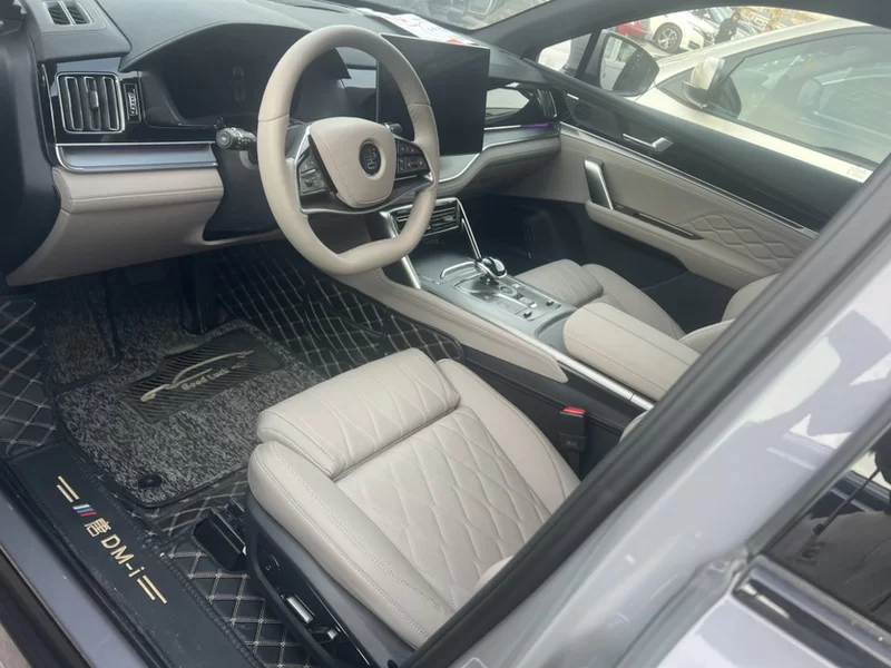 BYD Tang New Energy 2025 car image #4