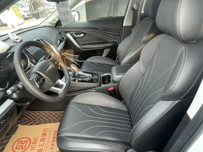 X70 2019 car image #4