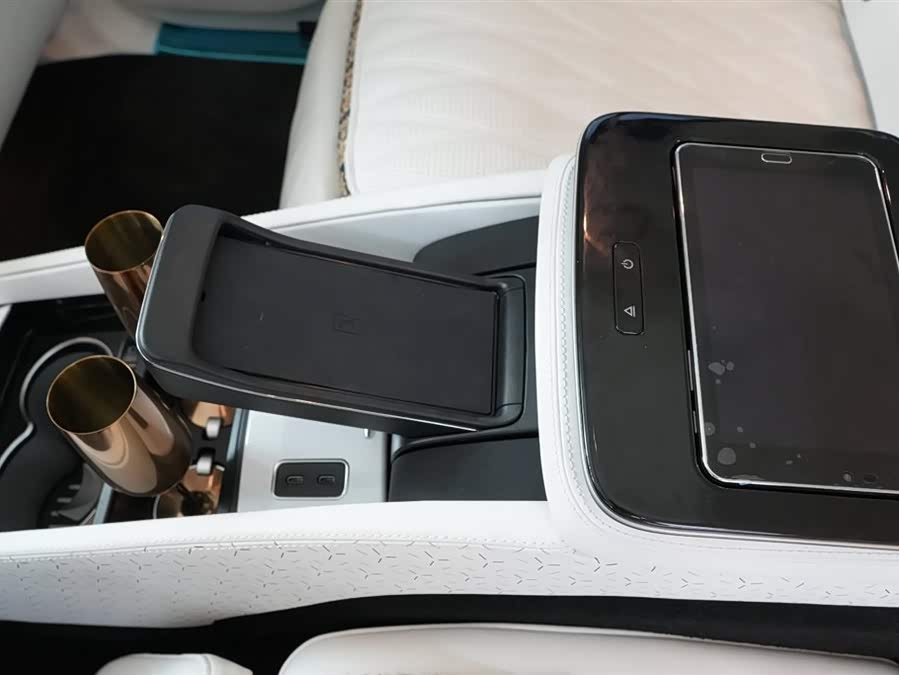 Mercedes-Benz Maybach GLS car image #22