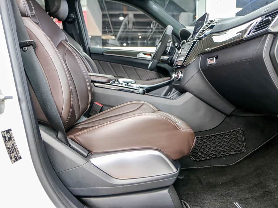 Mercedes-Benz GLS AMG 2019 car image #22