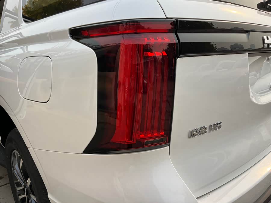 Haval H5 2025 car image #22