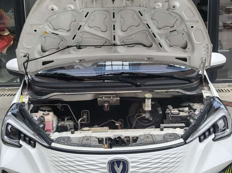 Changan BenBen E-Star 2023 car image #22