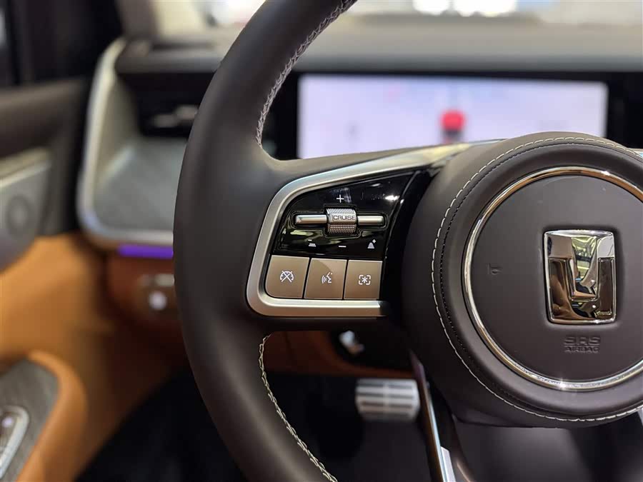 Tank 500 New Energy 2024 immagine di auto #22