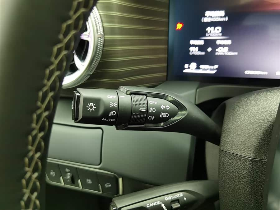 Tank 300 New Energy 2024 car image #22