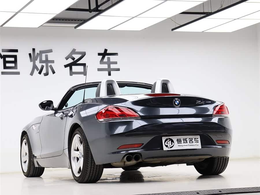 BMW Z4 2010 car image #22