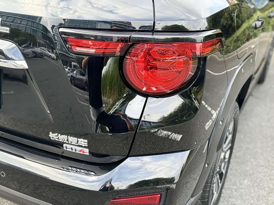 Haval X Dog 2 New Energy 2024 car image #22