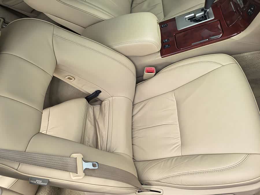 HongQi ShengShi 2009 car image #22