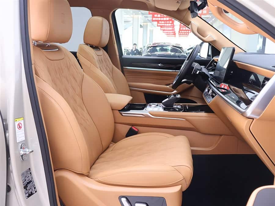 Tank 500 New Energy 2023 car image #22