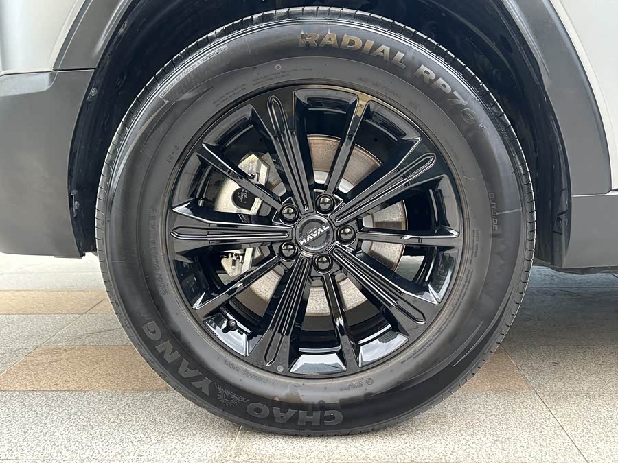 Haval Raptor New Energy 2025 immagine di auto #22