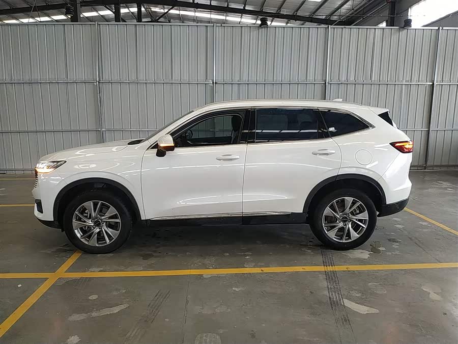 Haval H6 2022 car image #22