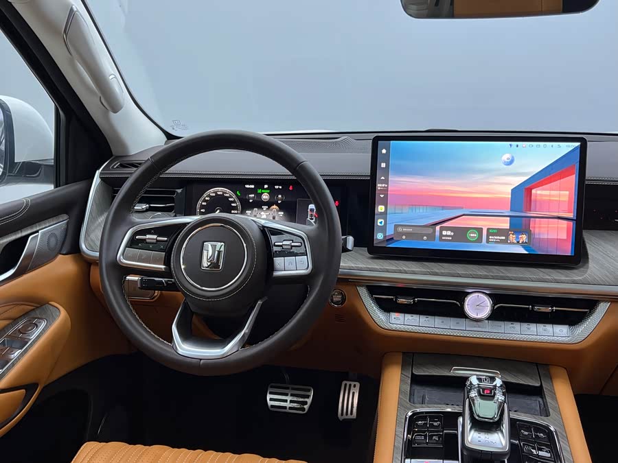 Tank 500 New Energy 2023 immagine di auto #22