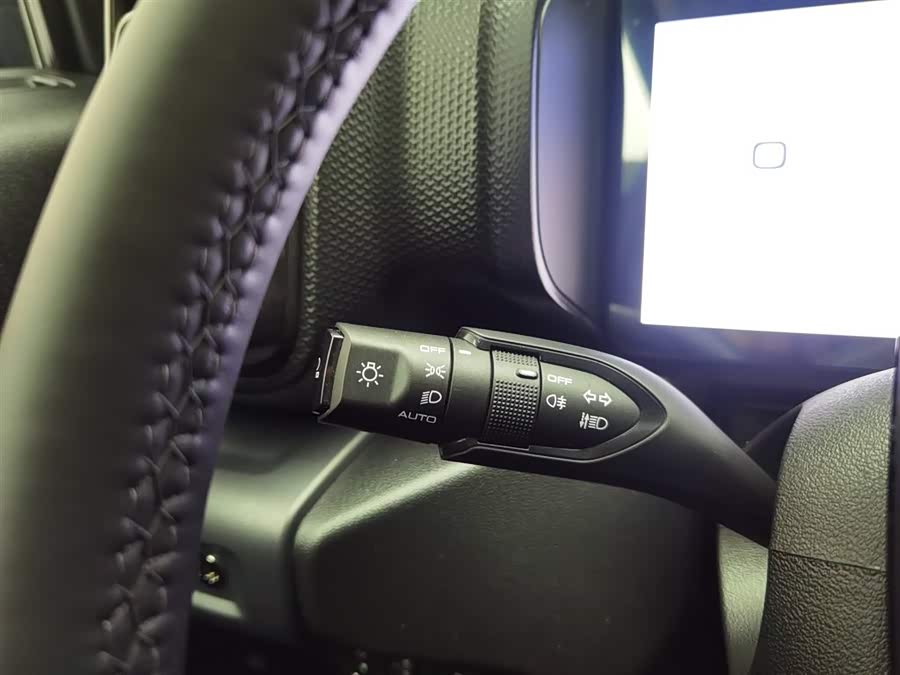 Haval Raptor New Energy 2024 car image #22