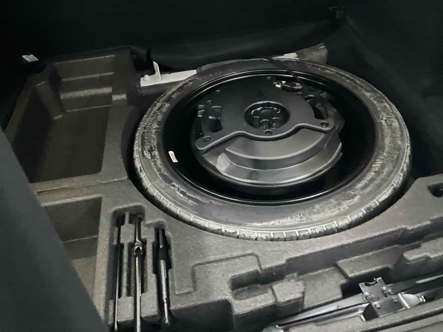 GEELY Tugella S 2022 car image #22