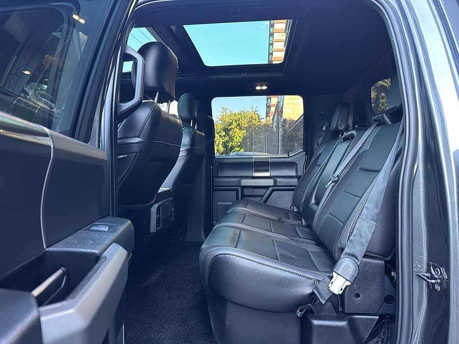 Ford F-150 Raptor 2019 car image #22