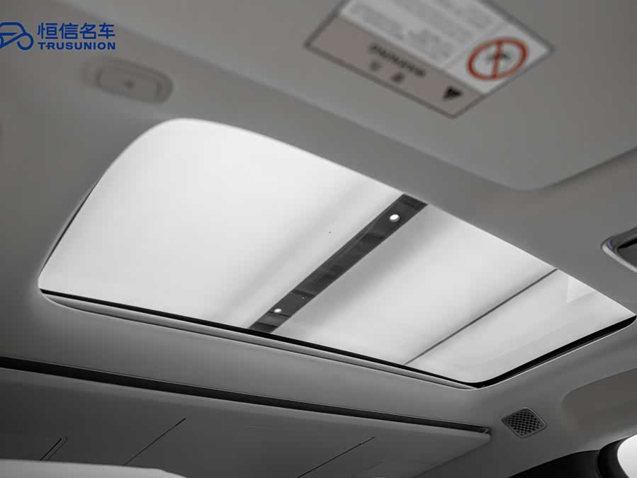 Denza N9 2025 car image #22