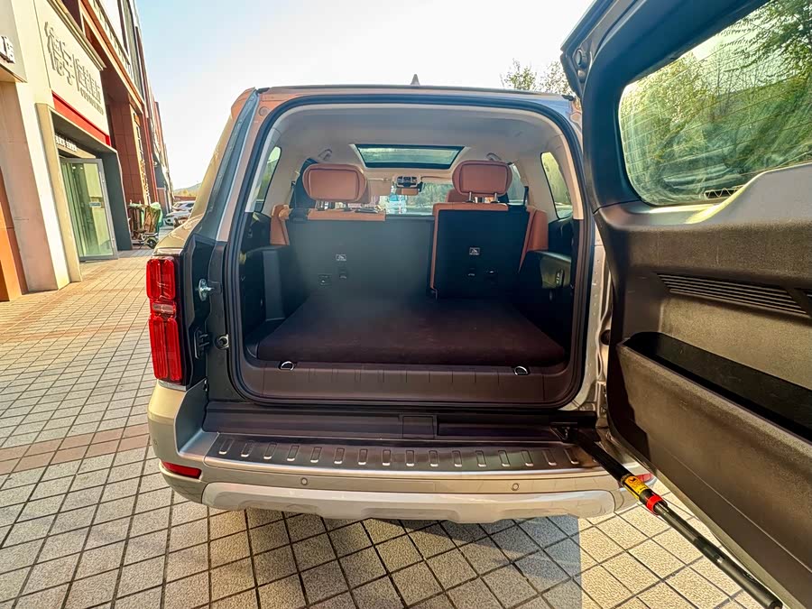 Tank 500 New Energy 2024 car image #22