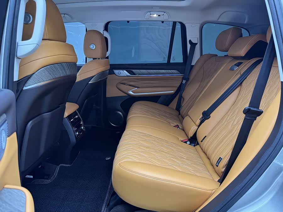 Tank 500 New Energy 2025 immagine di auto #22