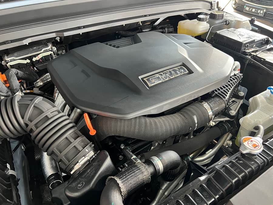 Tank 300 New Energy 2024 car image #22