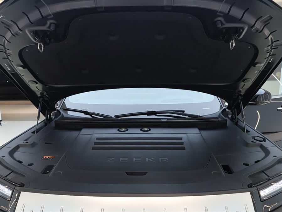 极氪 极氪009 2024 汽车图片 #22