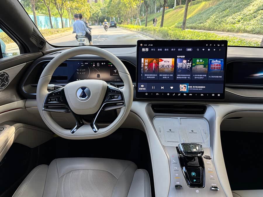 Denza N7 2024 car image #22