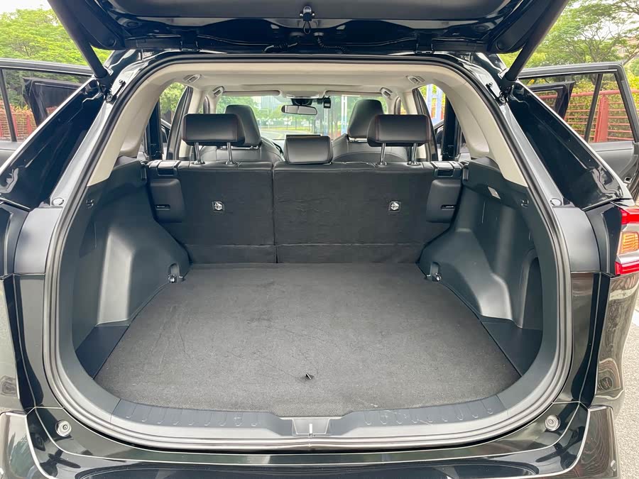 Toyota Wildlander New Energy 2021 #22 Toyota Wildlander New Energy 2021 immagine di auto #22