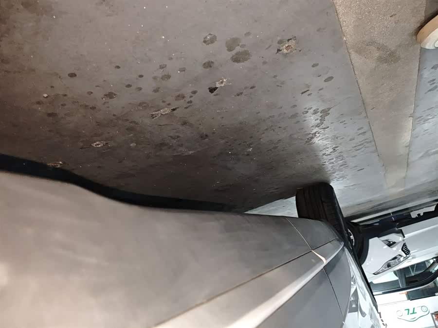 Kaiyi Showjet Pro 2021 #22 Kaiyi Showjet Pro 2021 car image #22