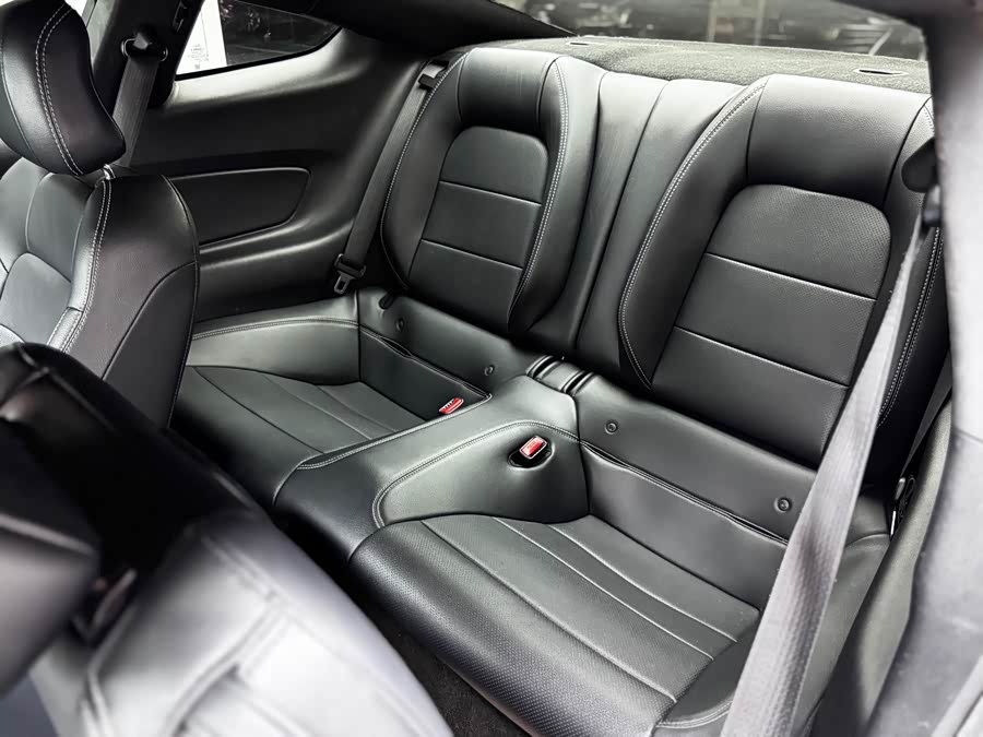 Ford Mustang 2016 car image #22