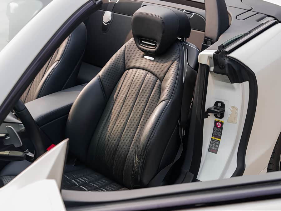 Mercedes-Benz SL AMG 2009 car image #22