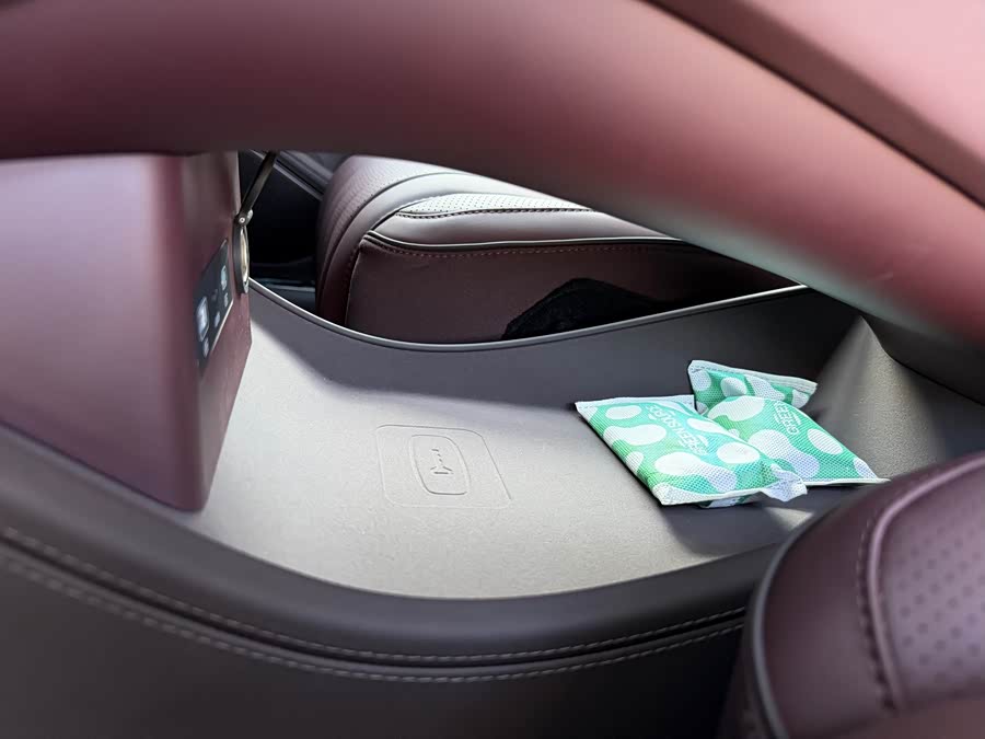 Denza Z9GT 2025 immagine di auto #22