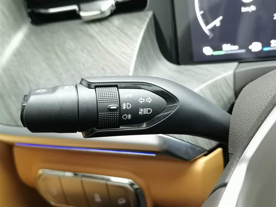 Tank 500 New Energy 2025 immagine di auto #22