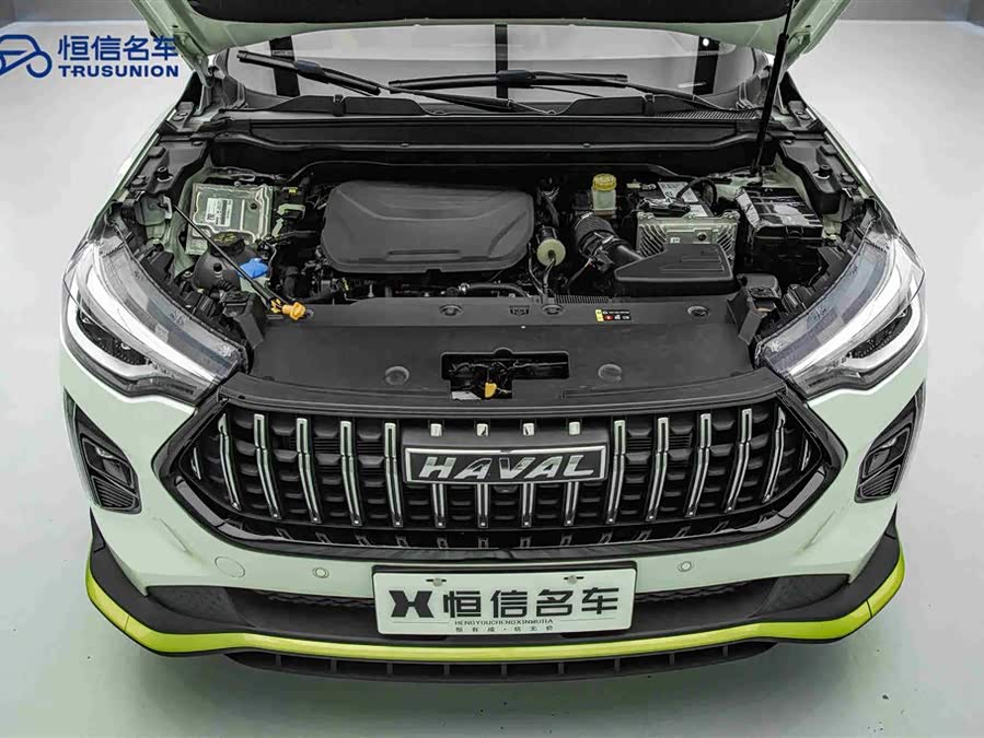 Haval Rabbit 2021 car image #22