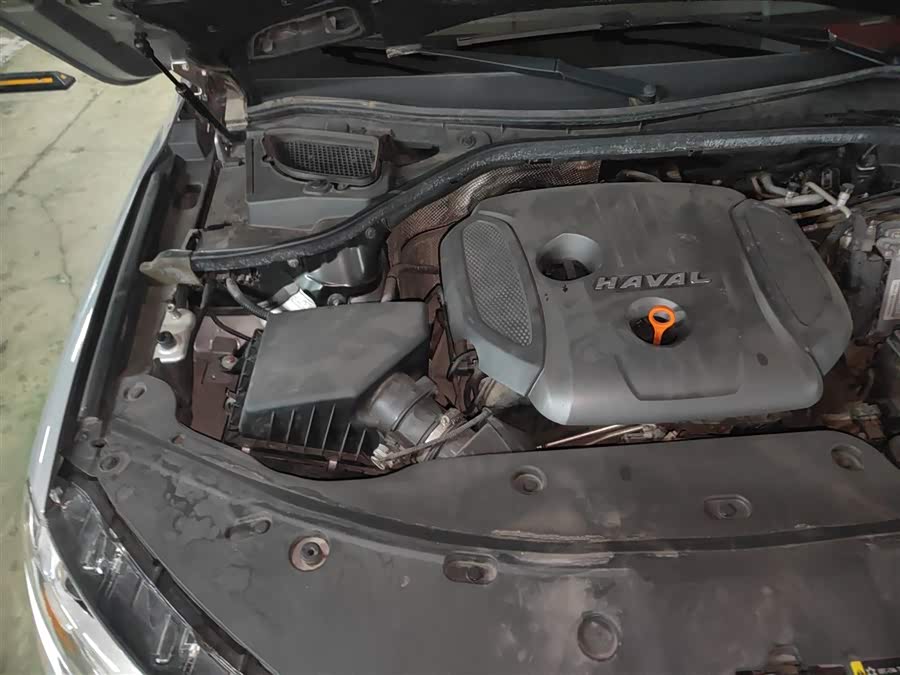 Haval H8 2017 #22 Haval H8 2017 car image #22