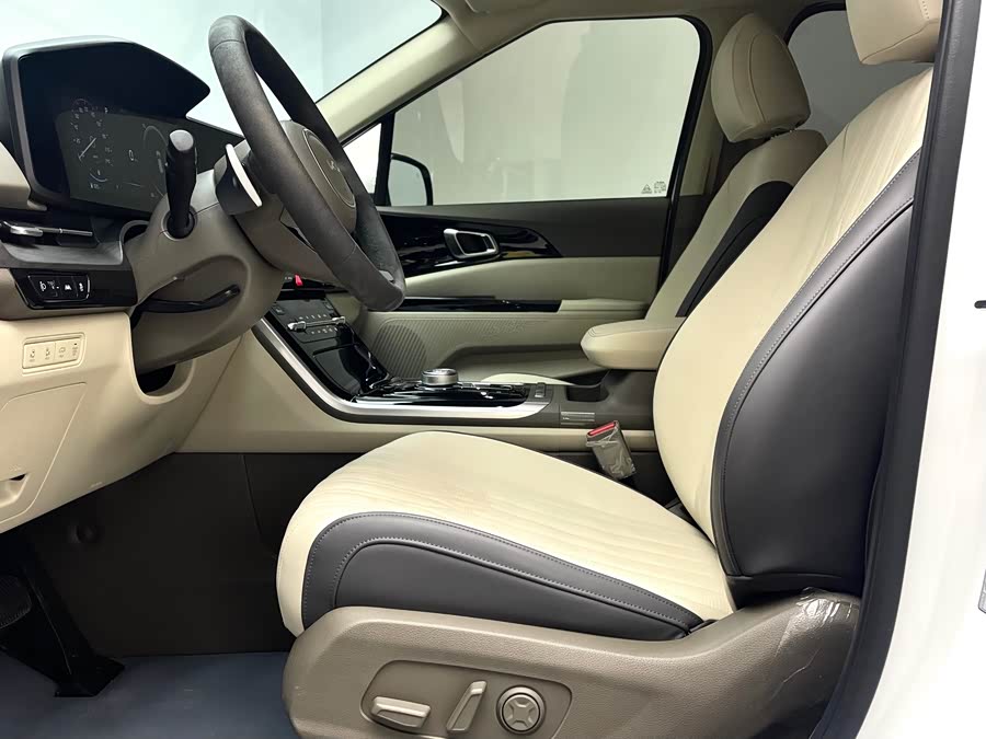 Kia Carnival 2024 immagine di auto #22