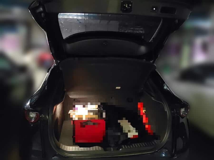 Mazda CX-3 2020 car image #22