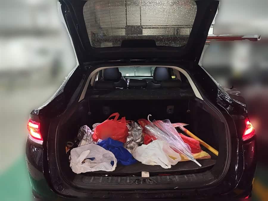 GEELY Tugella New Energy 2021 car image #22