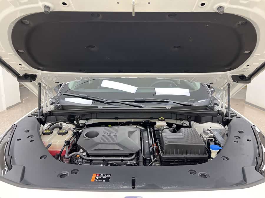 Roewe D5X DMH 2024 car image #22