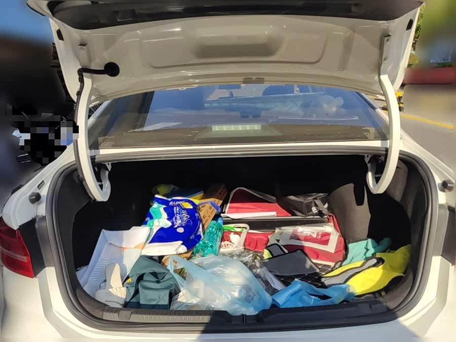 Volkswagen Lavida Pure Electric 2020 car image #22