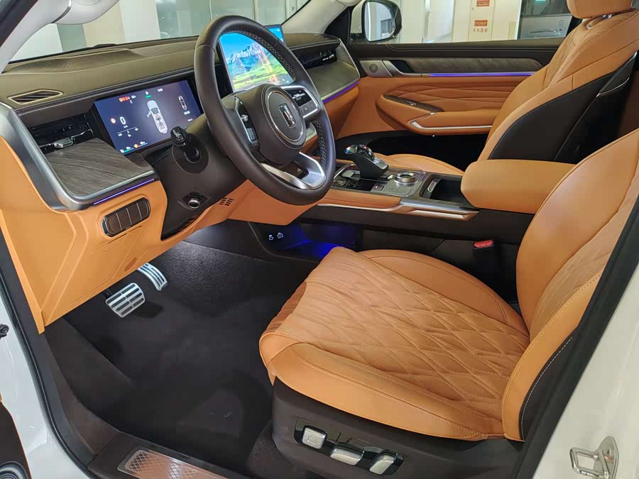 Tank 500 New Energy 2024 immagine di auto #22