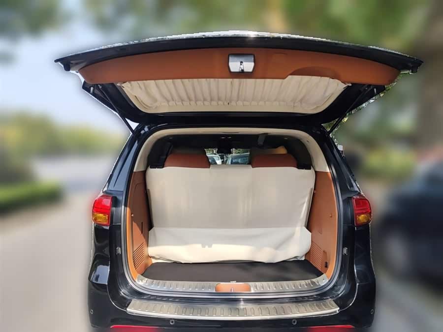 Kia Carnival (Imported) 2016 car image #22