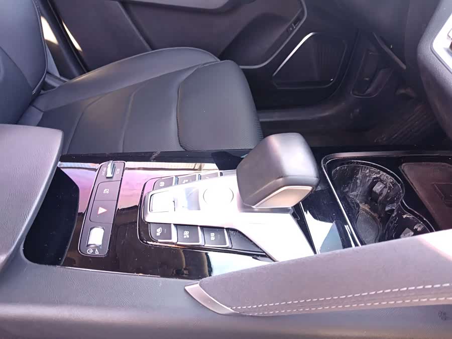 BYD Song Pro New Energy 2021 car image #22