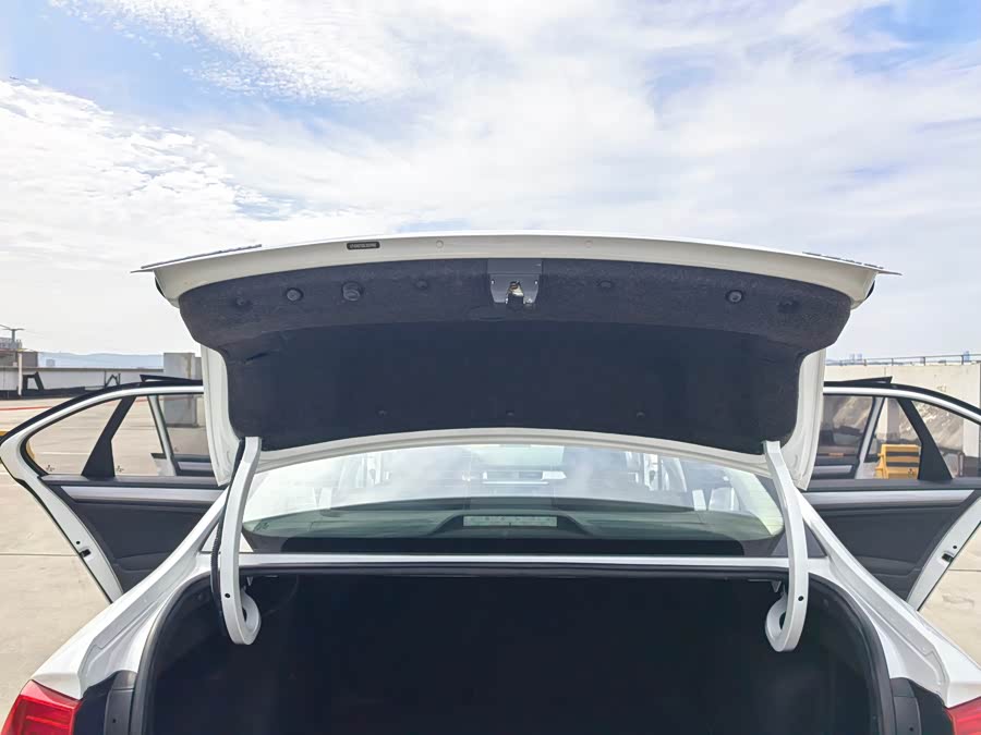 Volkswagen Bora 2020 car image #22