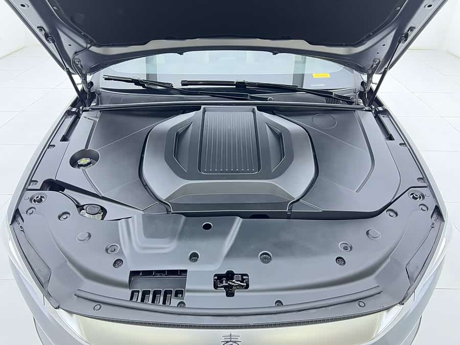 BYD Qin Plus 2022 #22 BYD Qin Plus 2022 car image #22