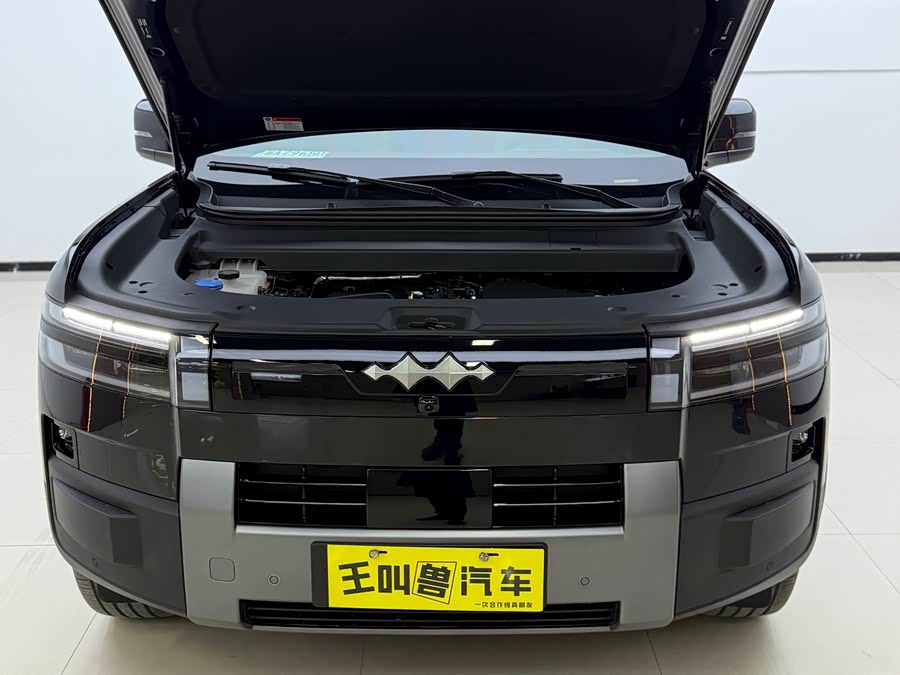 FangChengBao Tiger 7 2025 car image #22