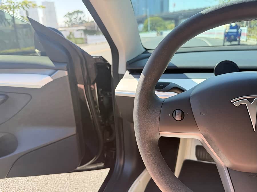 Tesla Model 3 2021 image de voiture #22