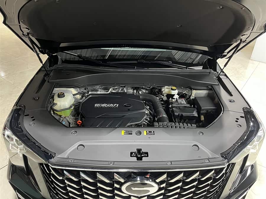 GAC Trumpchi GS8 2025 car image #22