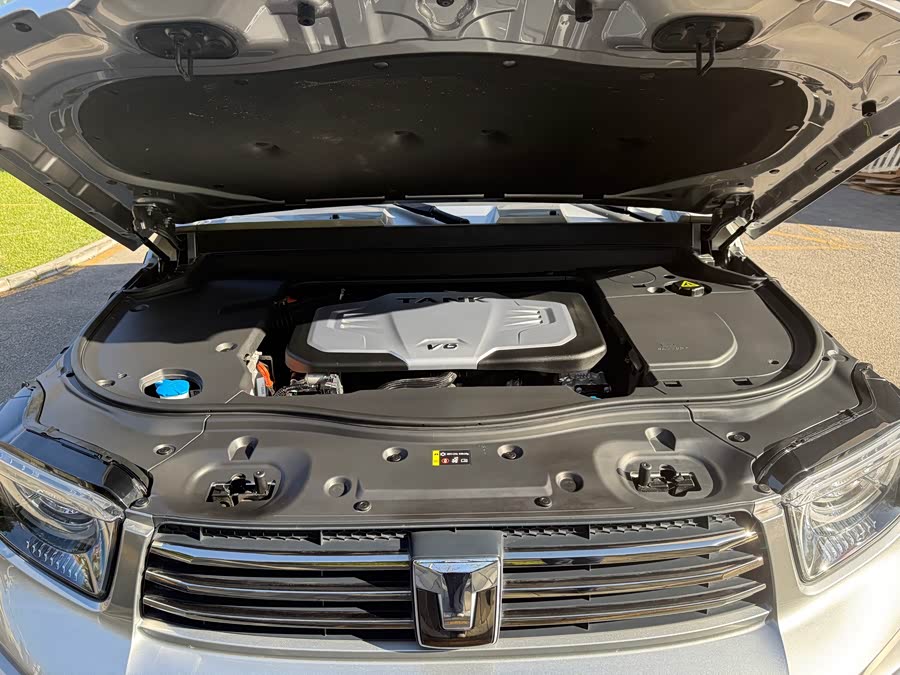 Tank 700 New Energy 2025 #22 Tank 700 New Energy 2025 immagine di auto #22