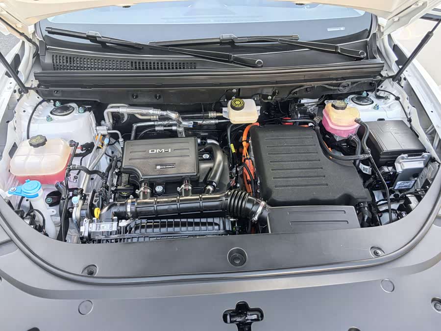 BYD Sea Lion 05 DM-i 2025 car image #22