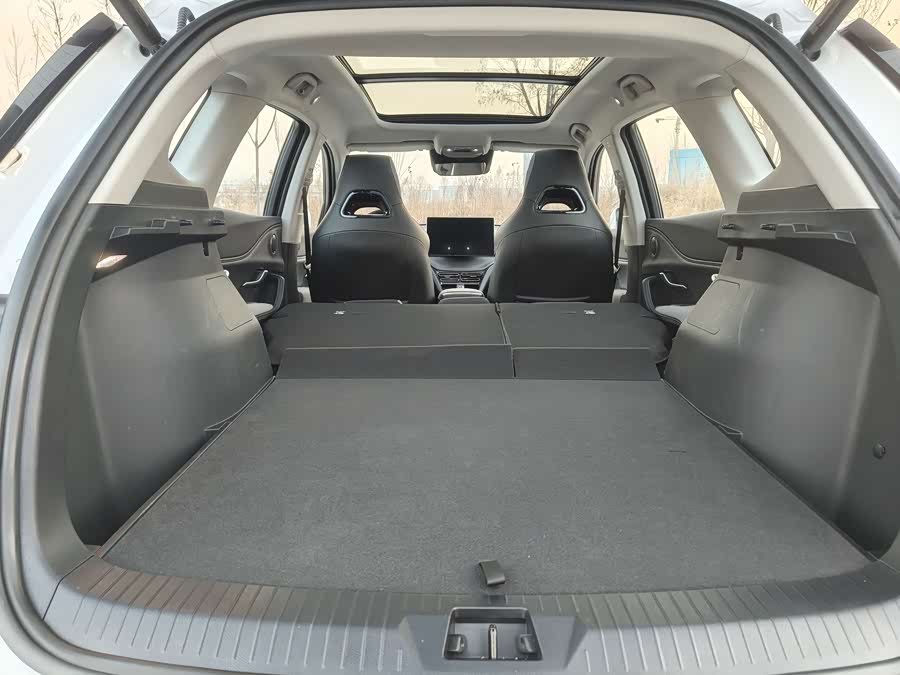 BYD Sea Lion 05 DM-i 2025 car image #22