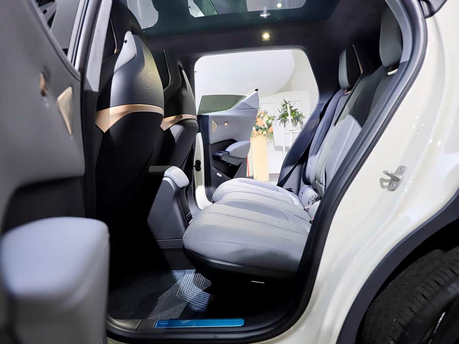 极氪 极氪X 2024 汽车图片 #22